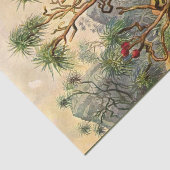 Mousseline Island Ernst Haeckel Découpage Papier de tissus (Détail)