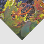 Mousseline Joli Vignoble Vignoble Tissu Papier (Détail)