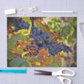 Mousseline Joli Vignoble Vignoble Tissu Papier (Artisanat)