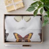 Mousseline Kaleidoscope de papillons 1 papier découpage (Cadeau)