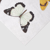 Mousseline Kaleidoscope de papillons 1 papier découpage (Détail)