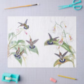 Mousseline La faune d'oiseaux de colibri fleurit le papier de (Artisanat)