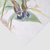 Mousseline La faune d'oiseaux de colibri fleurit le papier de (Détail)