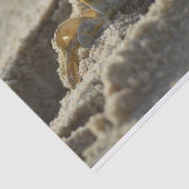 Mousseline Le crabe dans le papier de découpage du sable (Détail)