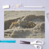 Mousseline Le crabe dans le papier de découpage du sable (Artisanat)