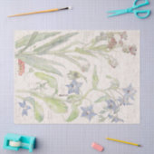 Mousseline Le fleur sauvage de bourrache fleurit le papier de (Artisanat)