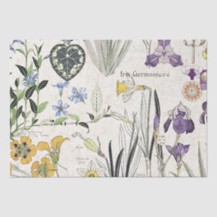 Mousseline L'iris français de Nouveau d'art fleurit le papier