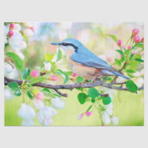 Mousseline oiseau dans le papier de mouchoir de printemps