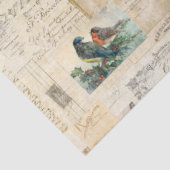 Mousseline Oiseaux en détresse et document Ephemera papier de (Détail)