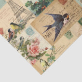 Mousseline Oiseaux et cartes postales Collage Ephemera Papier (Détail)