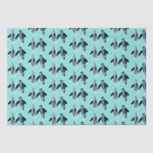 Mousseline Orca / Papier de fond pour baleine tueuse