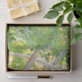 Mousseline Panda géant de Chubby dans un papier de tissus d'a (Cadeau)