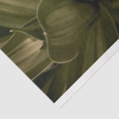 Mousseline Papier (Détail)