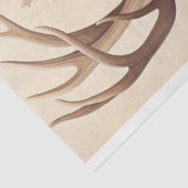 Mousseline Papier (Détail)