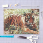Mousseline Papier (Artisanat)