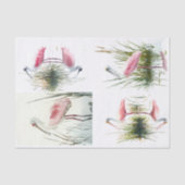 Mousseline Papier à cuillères Collage 2 Papier de découpage (Recto)