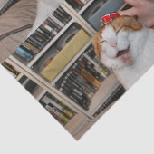 Mousseline Papier à enveloppement pointu (Détail)