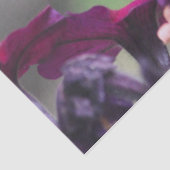 Mousseline Papier à papier pour colibri (Détail)