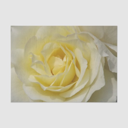 Mousseline Papier blanc (Recto)