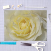 Mousseline Papier blanc (Artisanat)