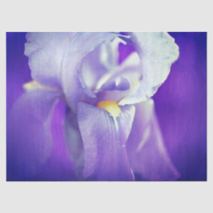 Mousseline Papier cadeau Iris bleu