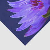 Mousseline Papier cadeau papier bleu pourpre à l'eau Lily (Détail)