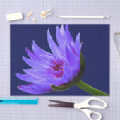 Mousseline Papier cadeau papier bleu pourpre à l'eau Lily (Artisanat)