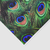 Mousseline Papier cadeau Peacock Feather Tissu (Détail)