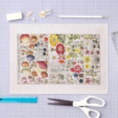 Mousseline Papier de découpage 10"x15" - Art botanique 203 (Artisanat)