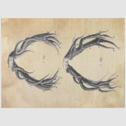 Mousseline Papier de découpage Antler (Recto)