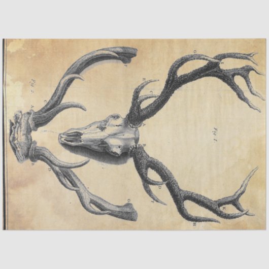 Mousseline Papier de découpage Antler (Recto)