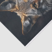 Mousseline Papier de découpage Coyote 4 (Détail)