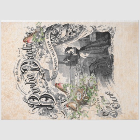 Mousseline Papier de découpage de Birdie Darling (Recto)