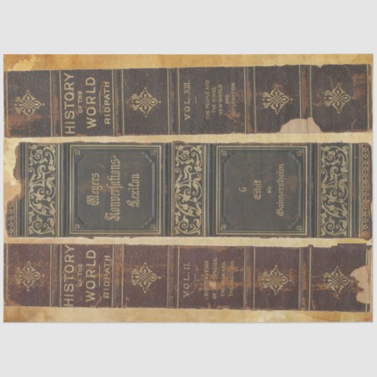 Mousseline Papier de découpage de la colonne vertébrale (Recto)