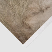 Mousseline Papier de découpage de la maison de plage recouver (Détail)