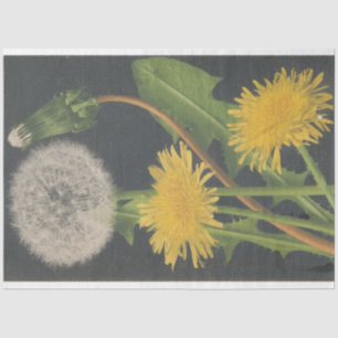 Mousseline Papier de découpage de meubles Dandilion