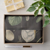 Mousseline Papier de découpage de pois doux (Cadeau)