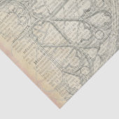 Mousseline Papier de Decoupage d'éphémères de papillon (Détail)