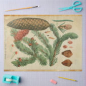 Mousseline Papier de découpage en pin de Noël (Artisanat)