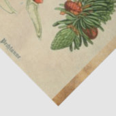 Mousseline Papier de découpage en pin de Noël (Détail)