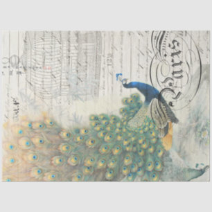 Mousseline Papier de découpage Ephemera Peacock