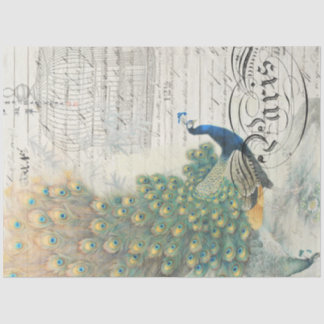 Mousseline Papier de découpage Ephemera Peacock