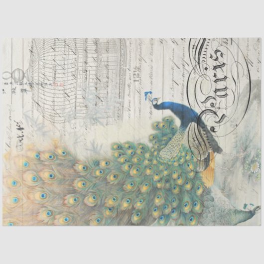 Mousseline Papier de découpage Ephemera Peacock (Recto)