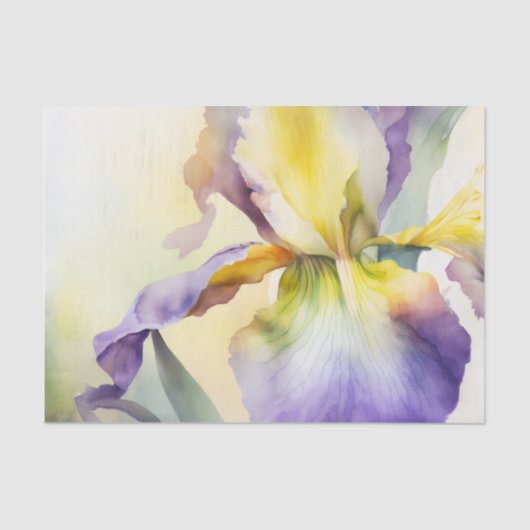 Mousseline Papier de découpage IRIS (Recto)