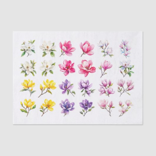 Mousseline Papier de découpage Magnolia Assortiment (Recto)