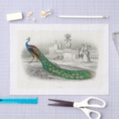 Mousseline Papier de découpage Peacock (Artisanat)