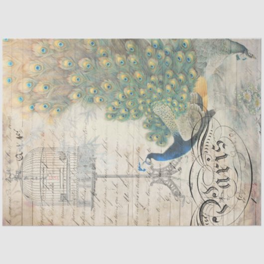 Mousseline Papier de découpage Peacock Ephemera Droite (Recto)