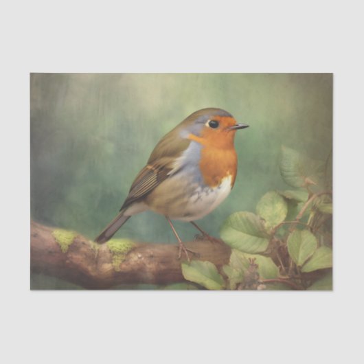 Mousseline Papier de découpage ROBIN (Recto)