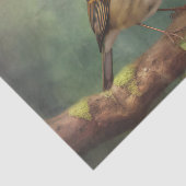 Mousseline Papier de découpage ROBIN (Détail)