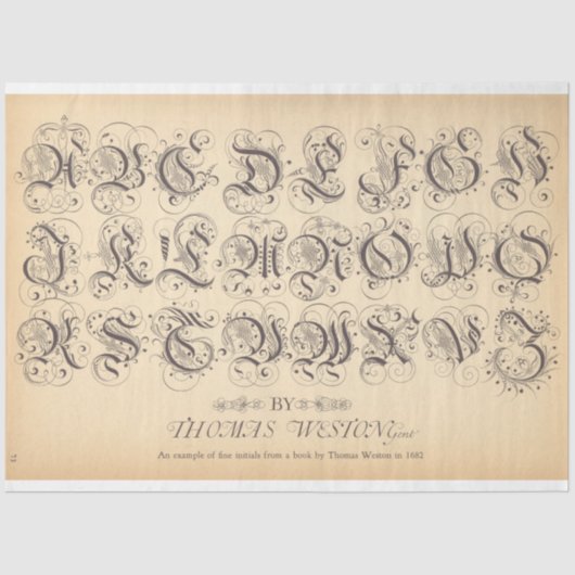 Mousseline Papier de découpage Rollerball (Recto)